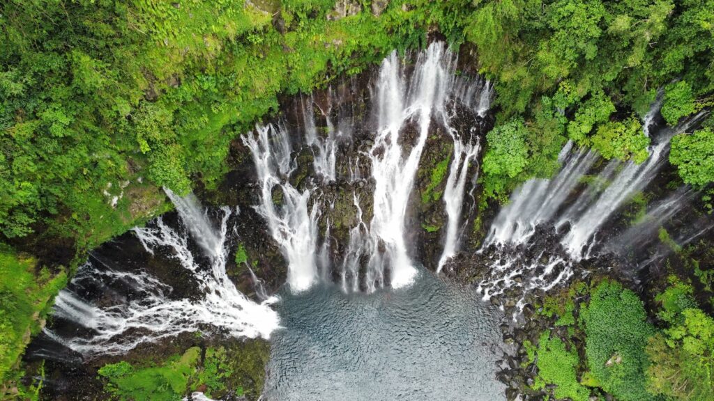 Multiple streams of a waterfall all collecting together in a vibrant green rainforest 