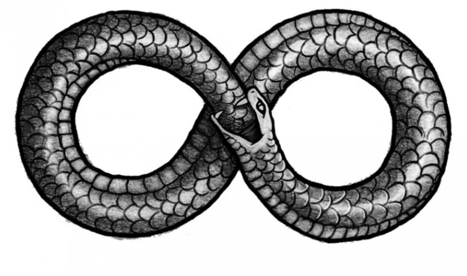 A black and white image of the ancient symbol, Ouroboros, in the form of a figure 8